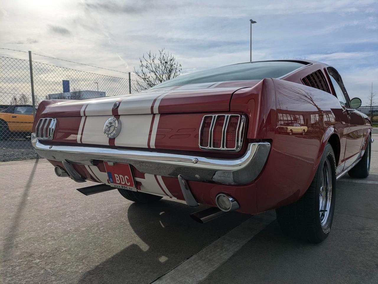 FORD Mustang Fastback 2+2 GT289 - 1966 LesAnciennes.com