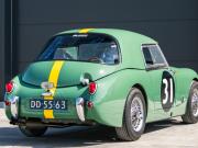 image_1-AUSTIN HEALEY Speedwell Sebring - 1958