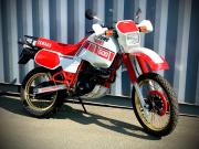 image_0-YAMAHA Tenere 600 - 1988
