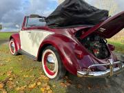 image_8-VOLKSWAGEN Coccinelle Cabriolet - 1959
