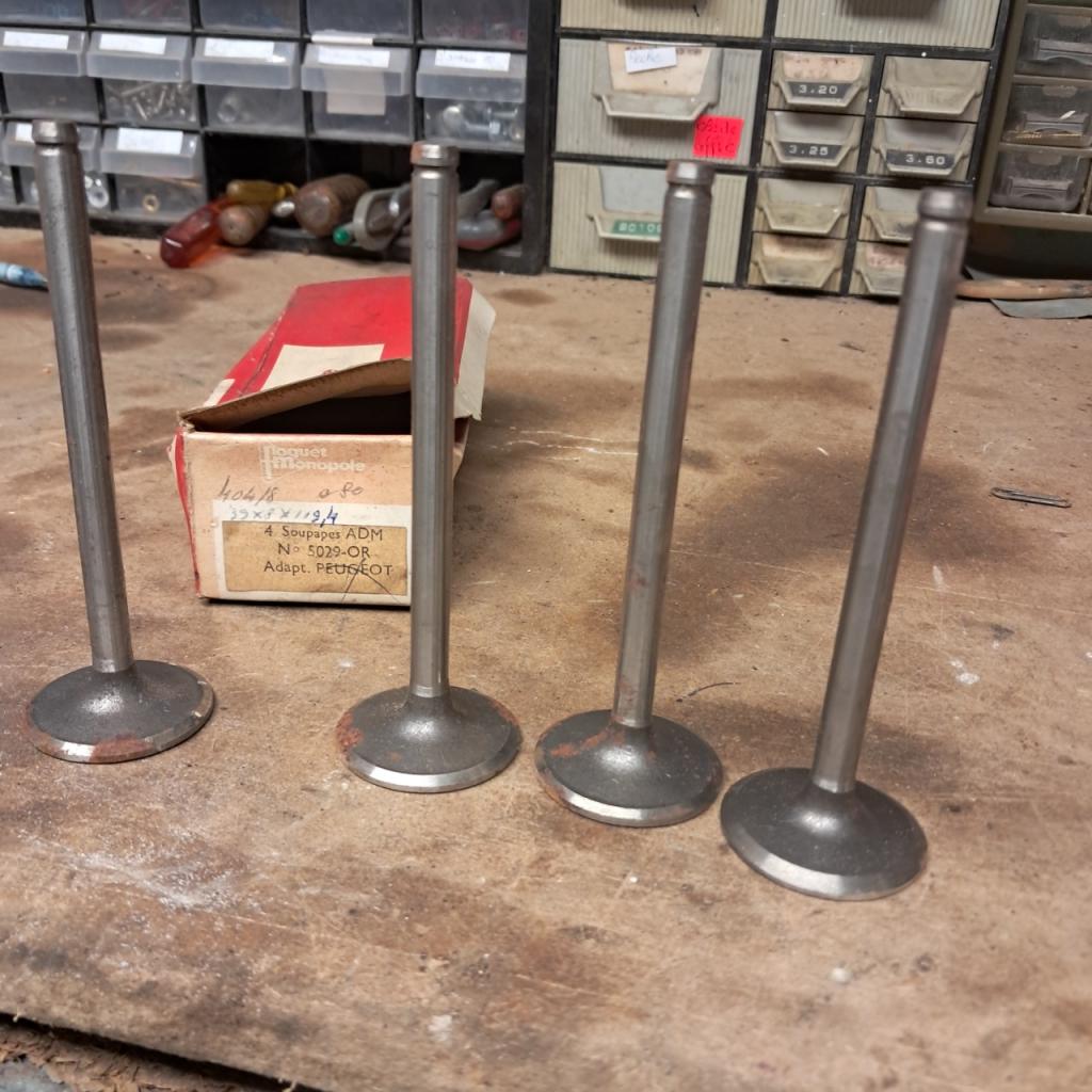 4 soupapes admission PEUGEOT 404/8 neuves LesAnciennes.com