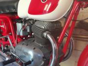 image_4-GILERA B300 Extra - 1969