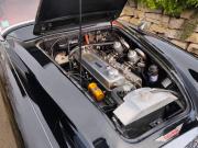 image_11-AUSTIN HEALEY 3000 bt7 - 1960