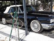 image_2-FORD Thunderbird 390 ci - 1964