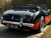 image_3-AUSTIN HEALEY 3000 Mk III (BJ8) - 1965