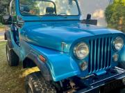 image_0-JEEP CJ 7 5.0 boite Auto - 1976