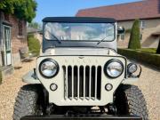 image_2-JEEP Willys CJ3B - 1956