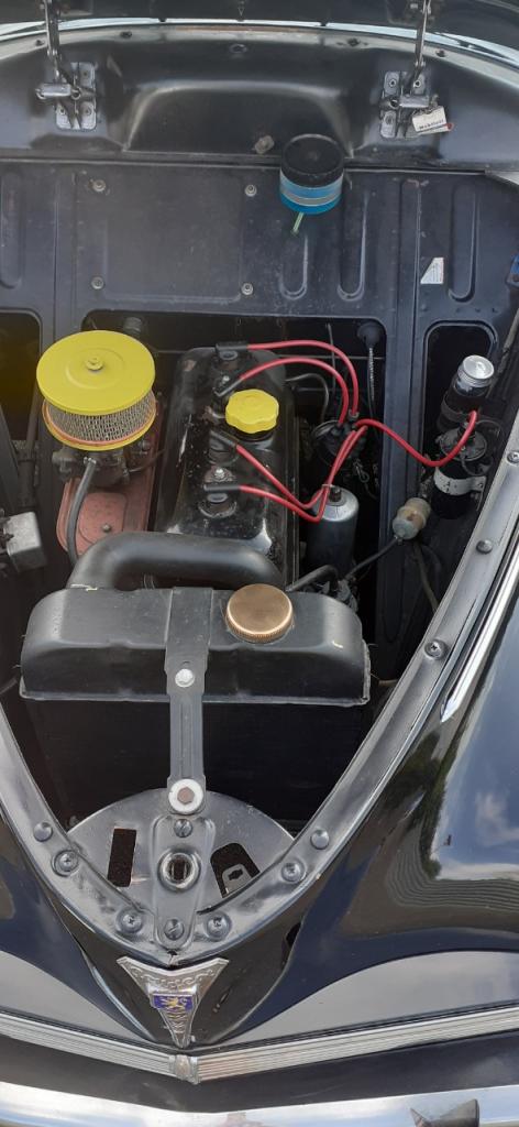 1955 Peugeot 203, foto 12