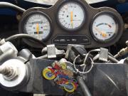 image_1-SUZUKI RG 500 - 1985