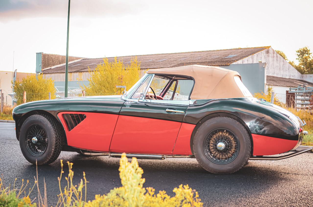 AUSTIN HEALEY 3000 BJ7 - 1963 LesAnciennes.com