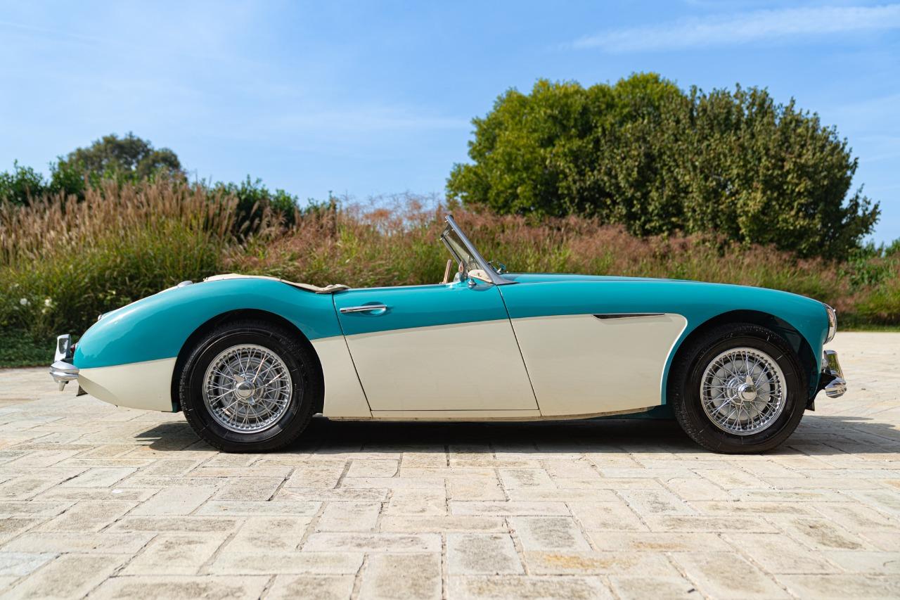 AUSTIN HEALEY 100 6 BN4 - 1957 LesAnciennes.com