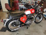 image_4-BSA A65 650 Firebird - 1967