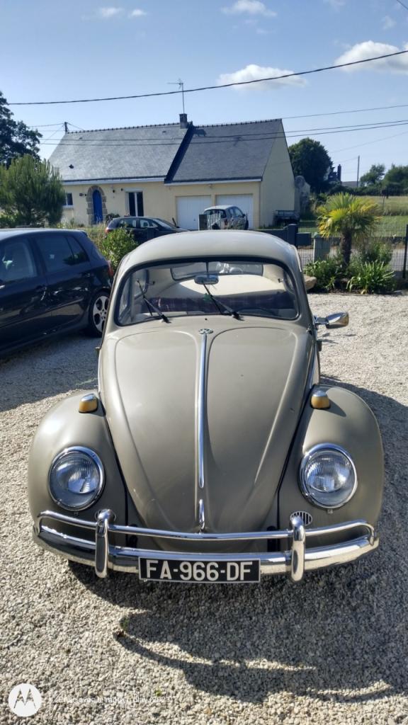 VOLKSWAGEN Coccinelle - 1964 LesAnciennes.com