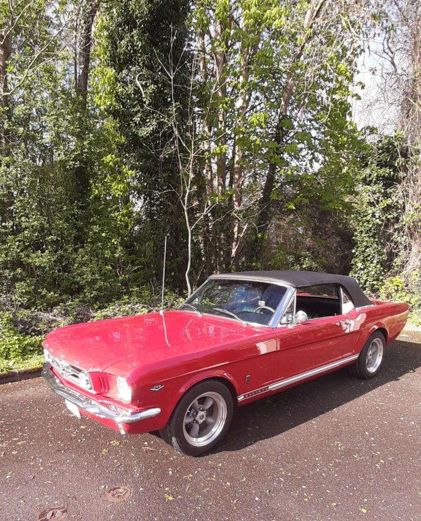 FORD Mustang Cabriolet - 1965 LesAnciennes.com