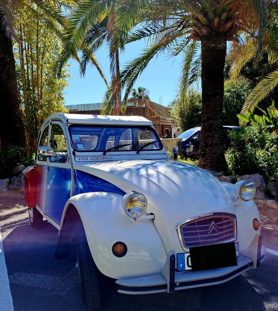 CITROEN 2CV Cocorico - 1987 LesAnciennes.com