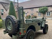 image_5-JEEP Willys CJ5 - 1950