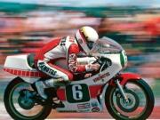 image_34-YAMAHA TZ 250 5f7 - 1981