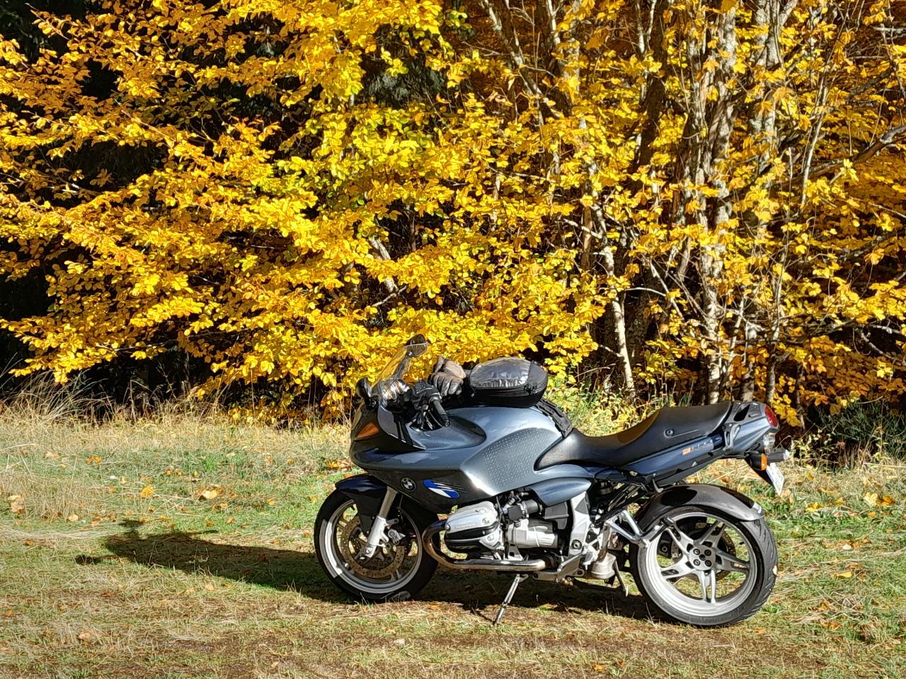 BMW R1100 S - 2001 LesAnciennes.com