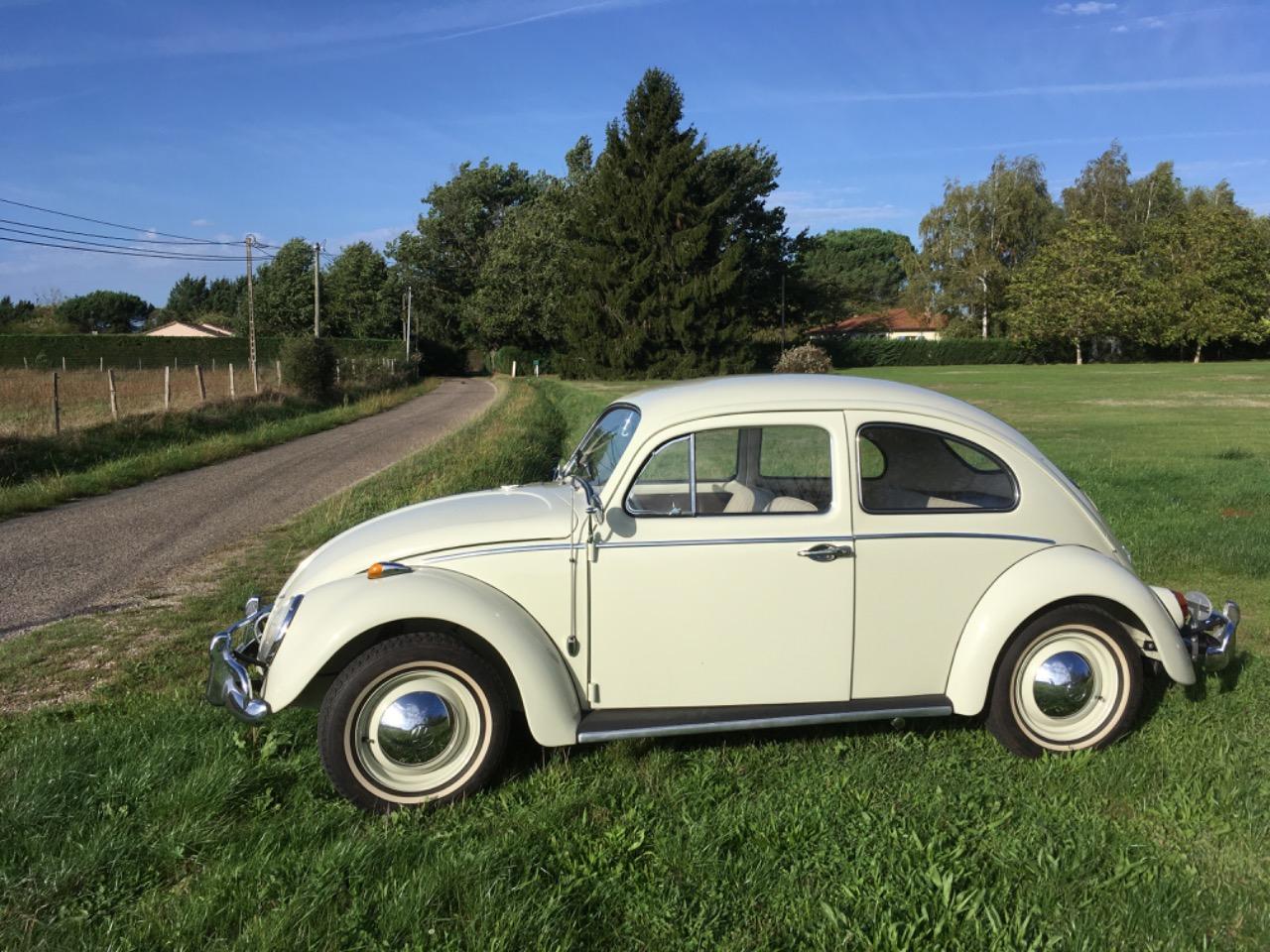 VOLKSWAGEN Coccinelle - 1964 LesAnciennes.com