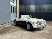 image_0-AUSTIN HEALEY 100 BN2 - 1956