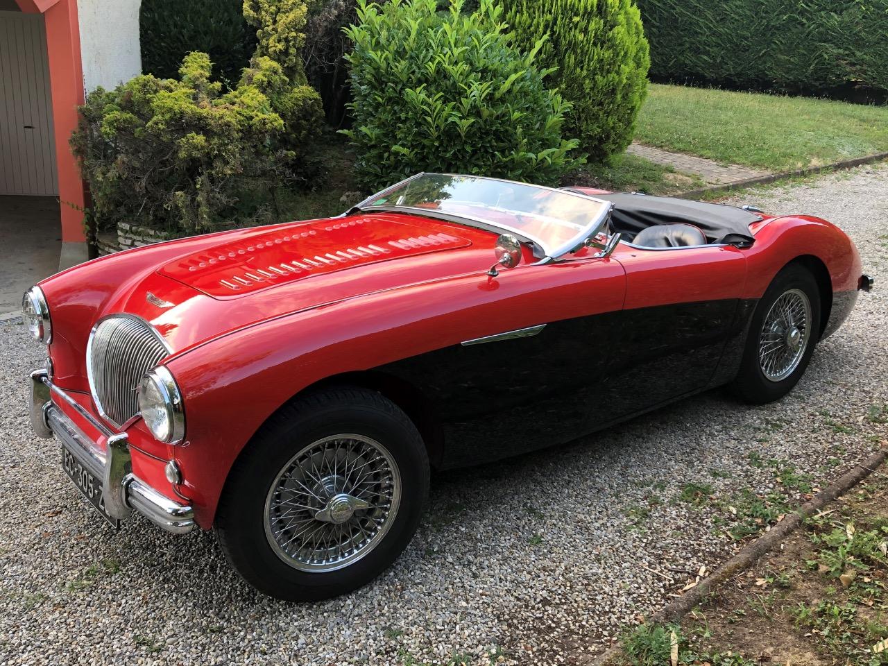 AUSTIN HEALEY 100 BN1 - 1954 LesAnciennes.com