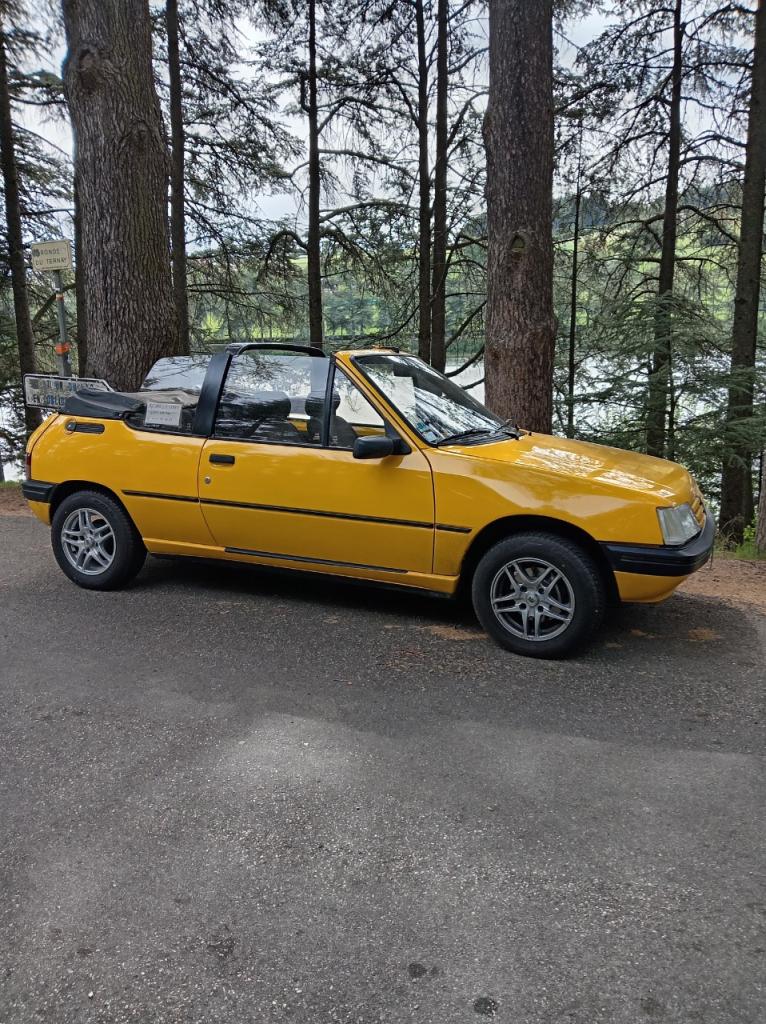 PEUGEOT 205 CJ - 1993 LesAnciennes.com