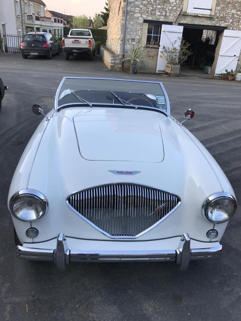 AUSTIN HEALEY 100 BN1 - 1955 LesAnciennes.com