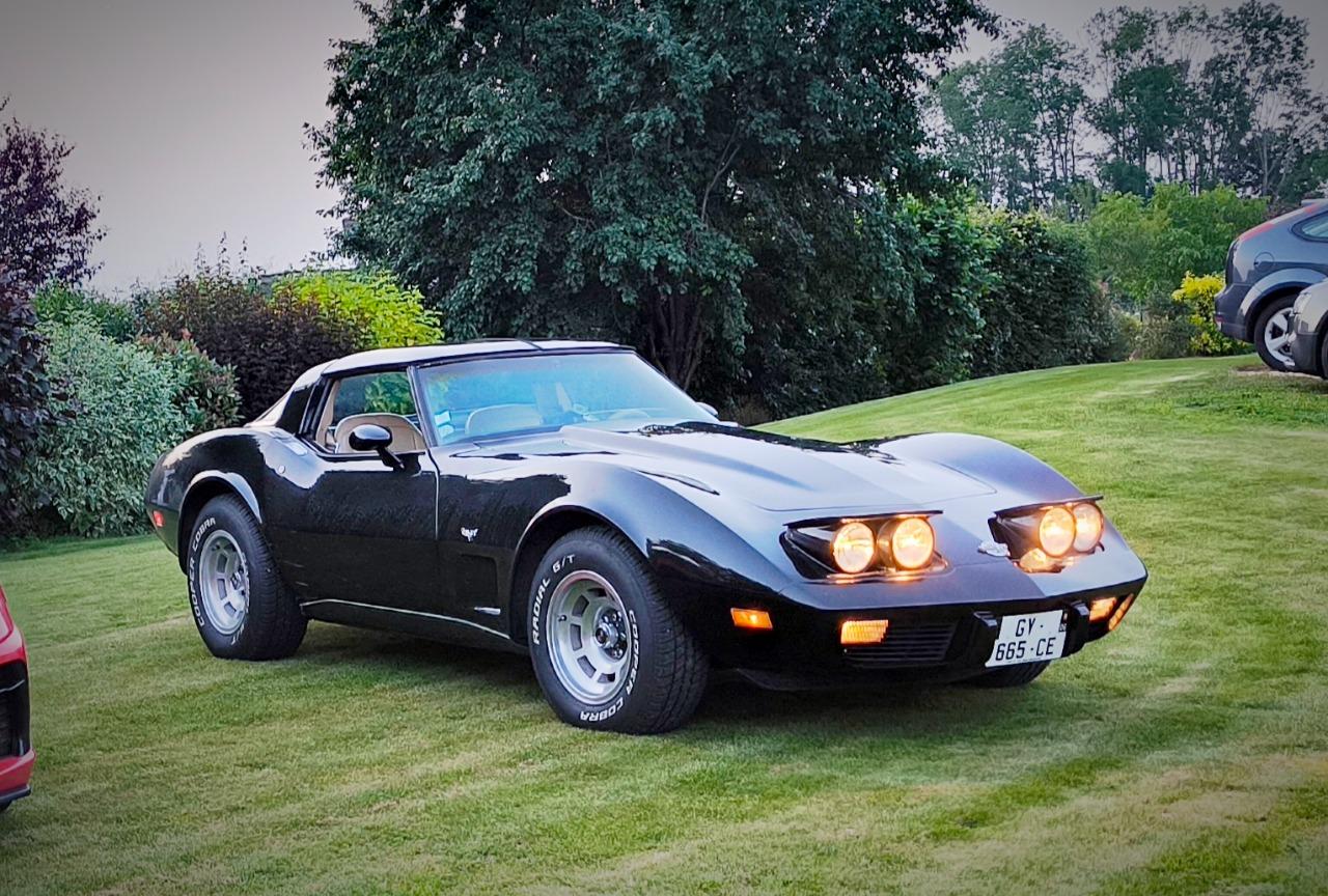 CHEVROLET Corvette - 1978 LesAnciennes.com