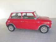 image_0-MINI 1000cm3 - 1989