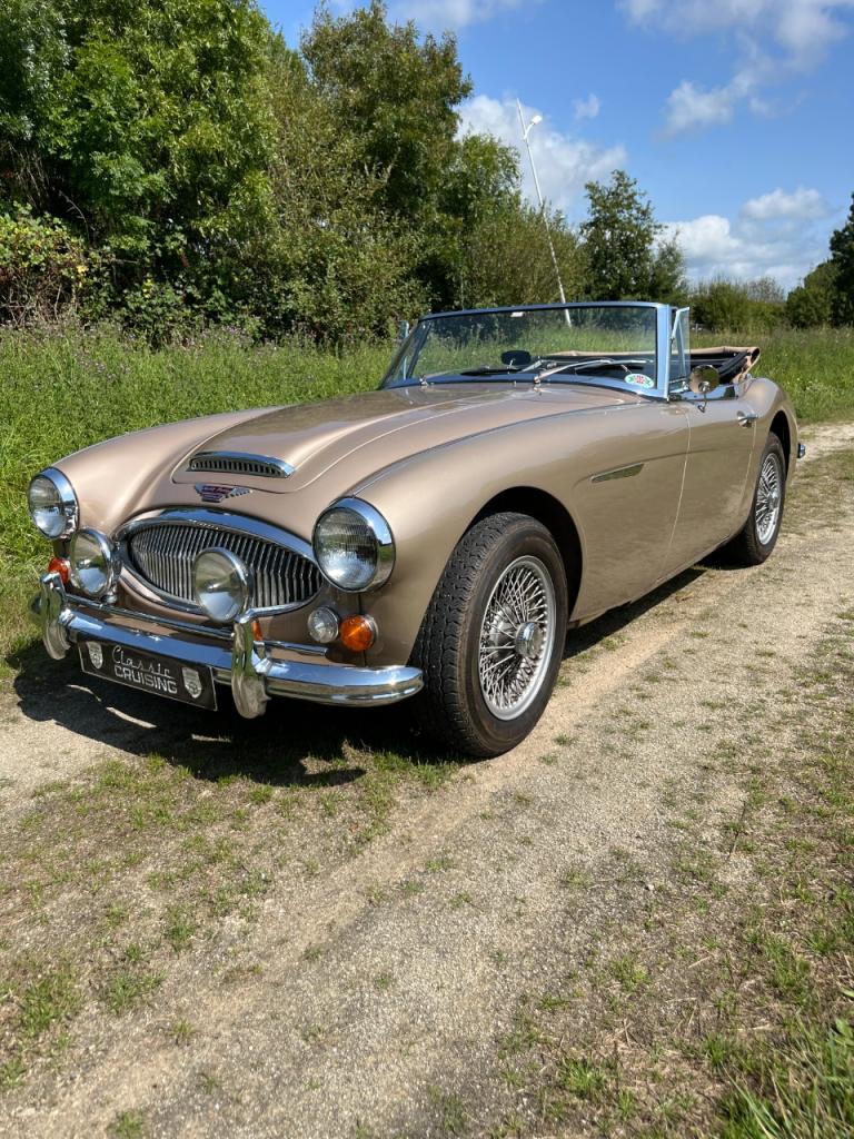 AUSTIN HEALEY 3000 BJ8 - 1967 LesAnciennes.com