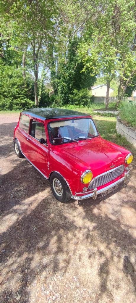 AUSTIN Mini Cooper - 1966 LesAnciennes.com