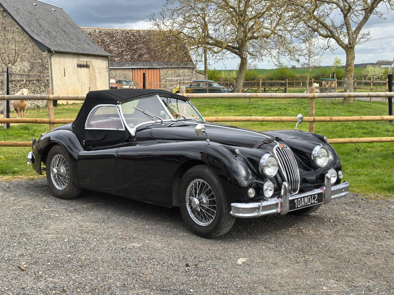 JAGUAR XK140 OTS SE - 1956 LesAnciennes.com