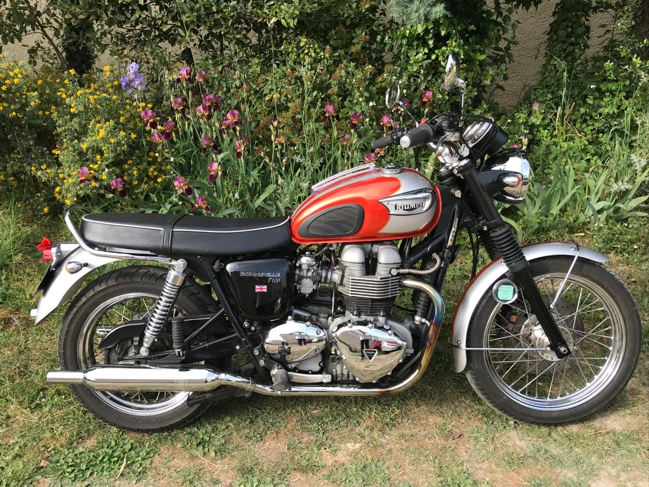 TRIUMPH Bonneville T100 865 cm2 LesAnciennes.com