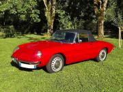 image_0-ALFA ROMEO Spider Duetto - 1967