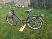 image_0-Solex