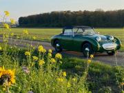 image_10-AUSTIN HEALEY Sprite MK1 Frogeye - 1958