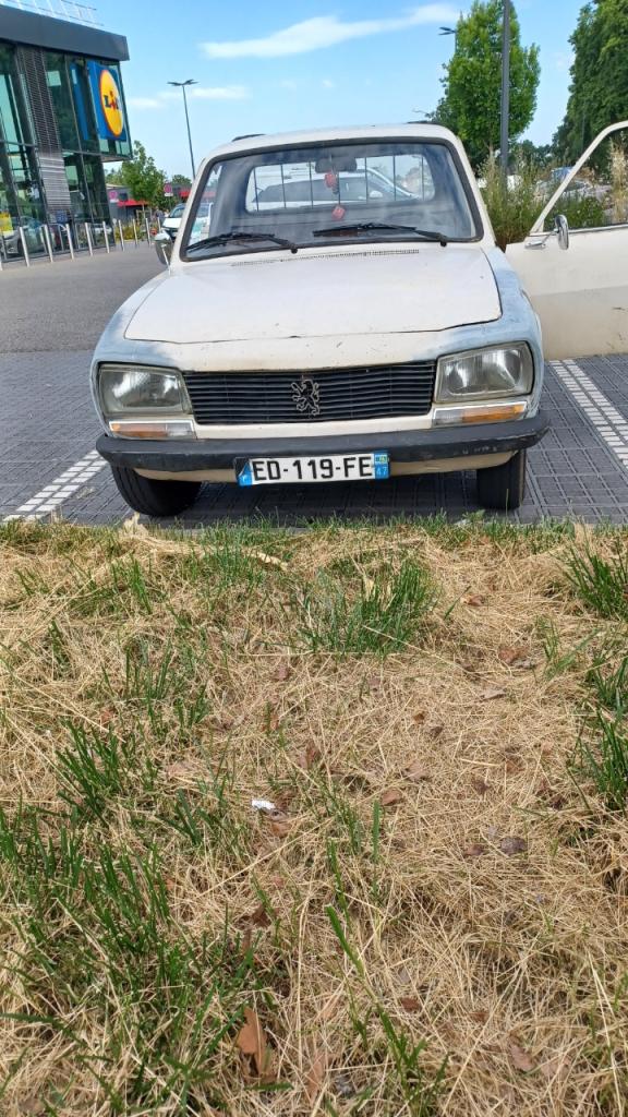 PEUGEOT 504 plateau - 1989 LesAnciennes.com