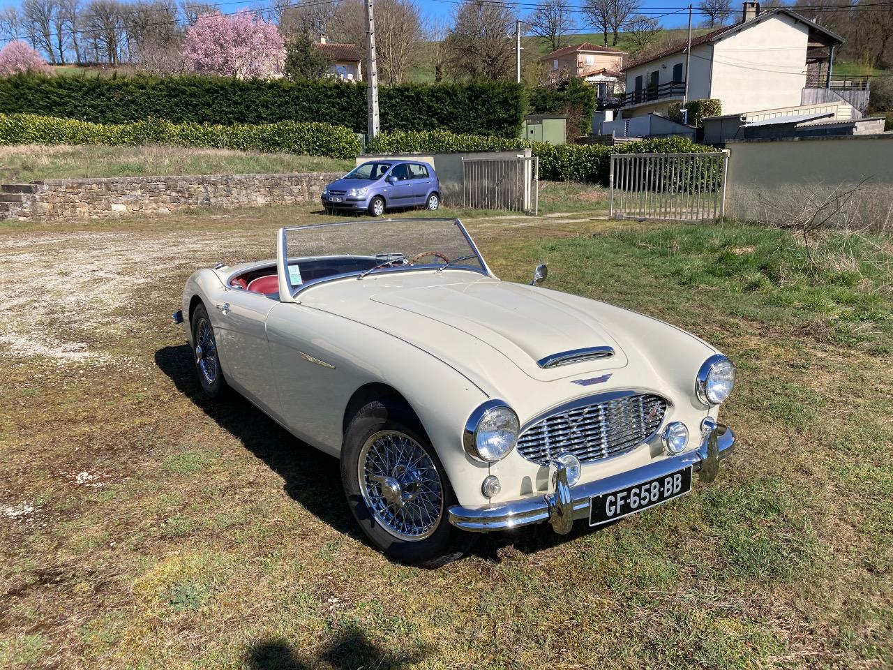AUSTIN HEALEY 100 BN6 - 1958 LesAnciennes.com