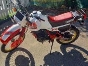 image_0-YAMAHA XT 600 34 L ténéré - 1984