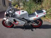 image_1-SUZUKI RGV 250 VJ21 - 1991
