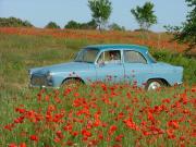 image_2-SIMCA Aronde P60 Etoile 6 - 1961