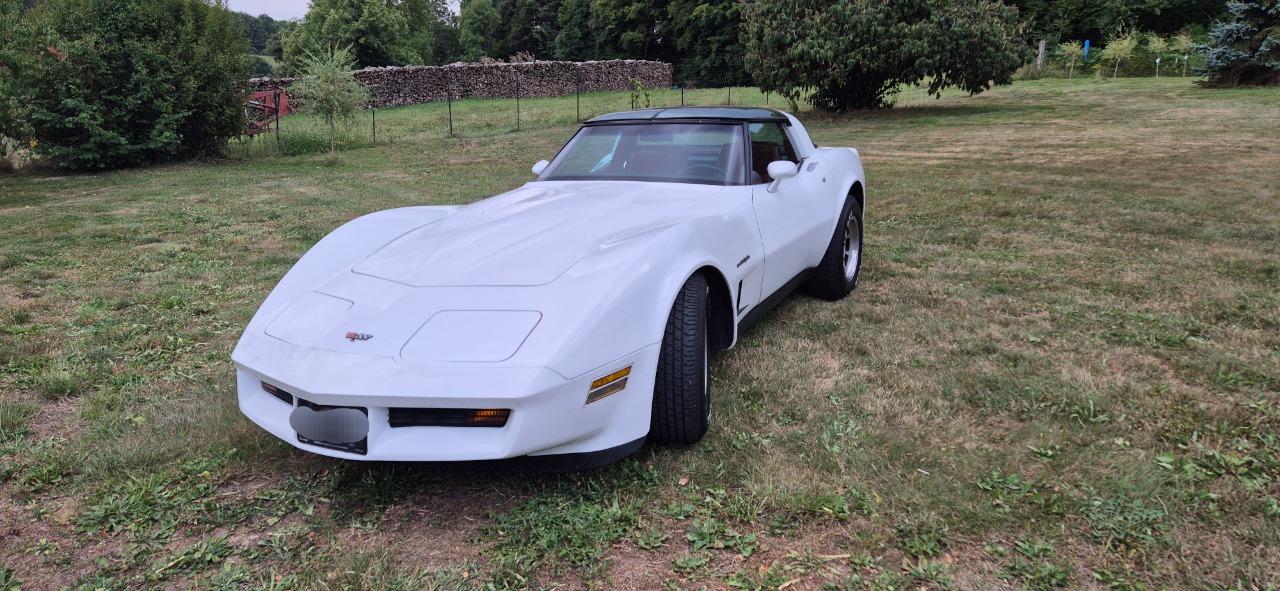 CHEVROLET Corvette - 1982 LesAnciennes.com