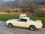 image_2-FORD Mustang Fastback 1965 - 1965