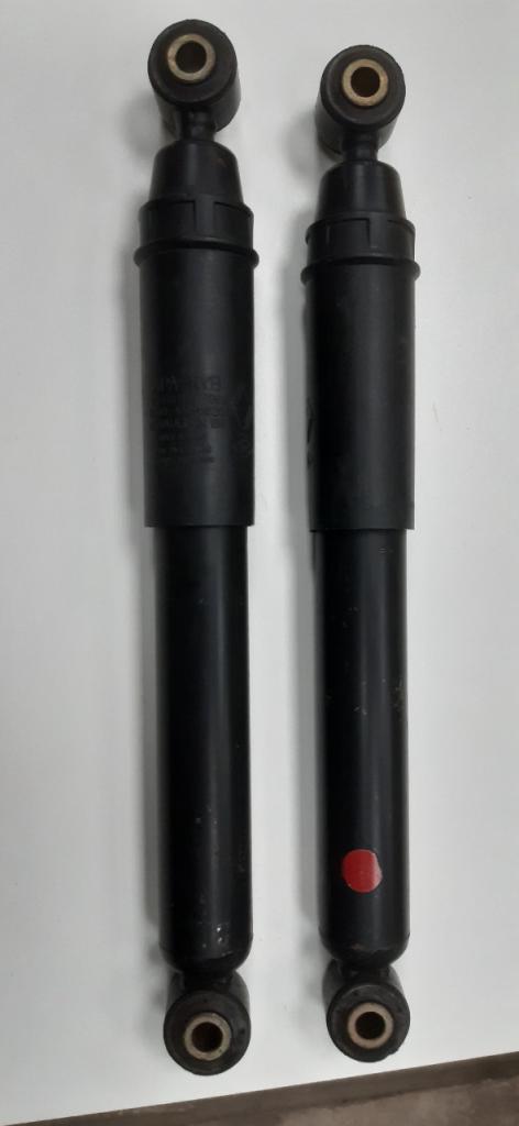Paire d'amortisseurs AR LesAnciennes.com