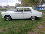 image_3-PEUGEOT 404 - 1971