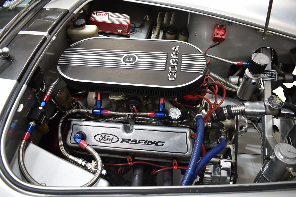 1982 AC Cobra Pigeon racing 5.0L, foto 8