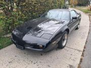 image_0-PONTIAC Firebird TransAm T.-Top - 1991