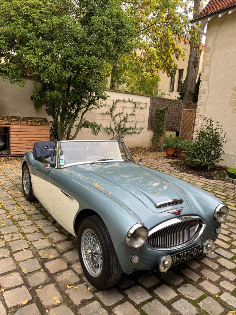 AUSTIN HEALEY 3000 MK II - 1963 LesAnciennes.com