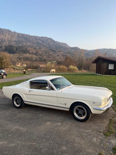 FORD Mustang Fastback - 1965 LesAnciennes.com