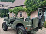 image_2-JEEP Willys CJ5 - 1950